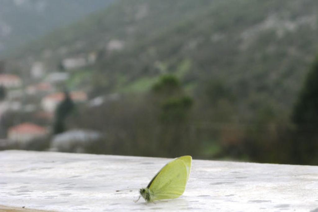 Taygetos Relaxing Cottage Poliana Exterior photo